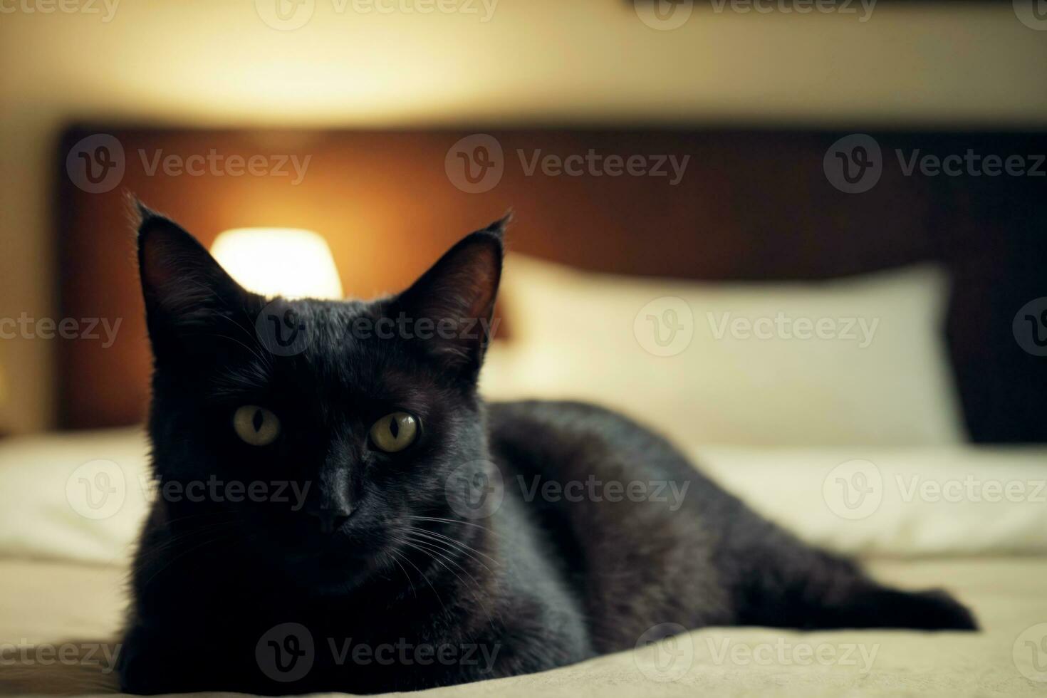 Solitary Cat Relaxing on Bed, Cozy Home Scene, AI Generated photo