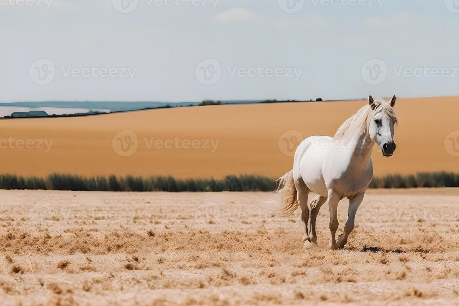 Young brown horse galloping, jumping on the field on a neutral background. Neural network AI generated photo