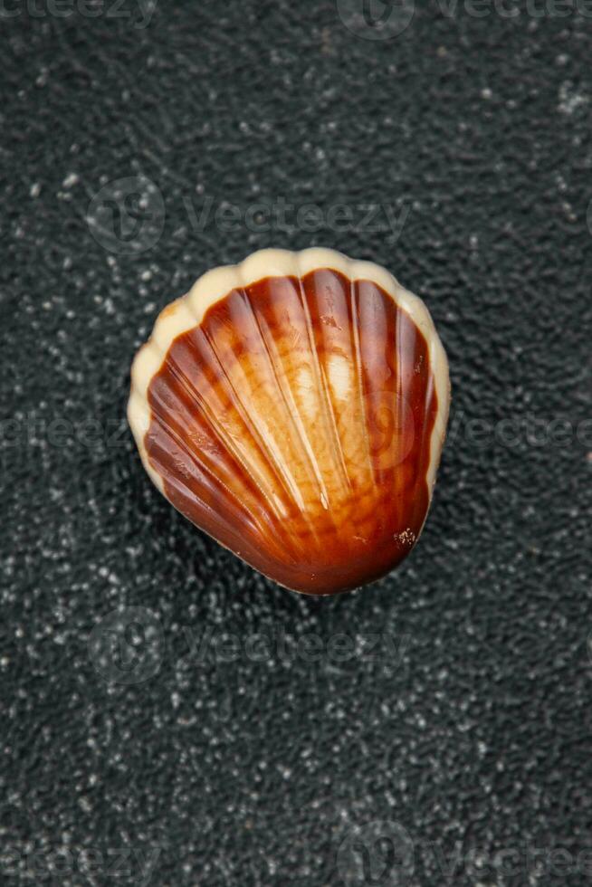 seashell candy chocolate sweet seashells dessert eating meal food snack on the table copy space food background rustic top view photo