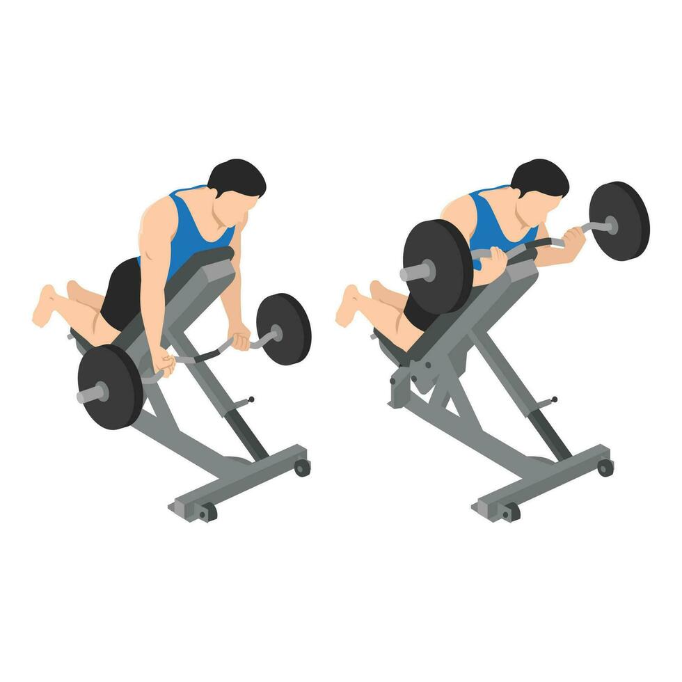 Man doing reverse incline bench barbell curl exercise. vector