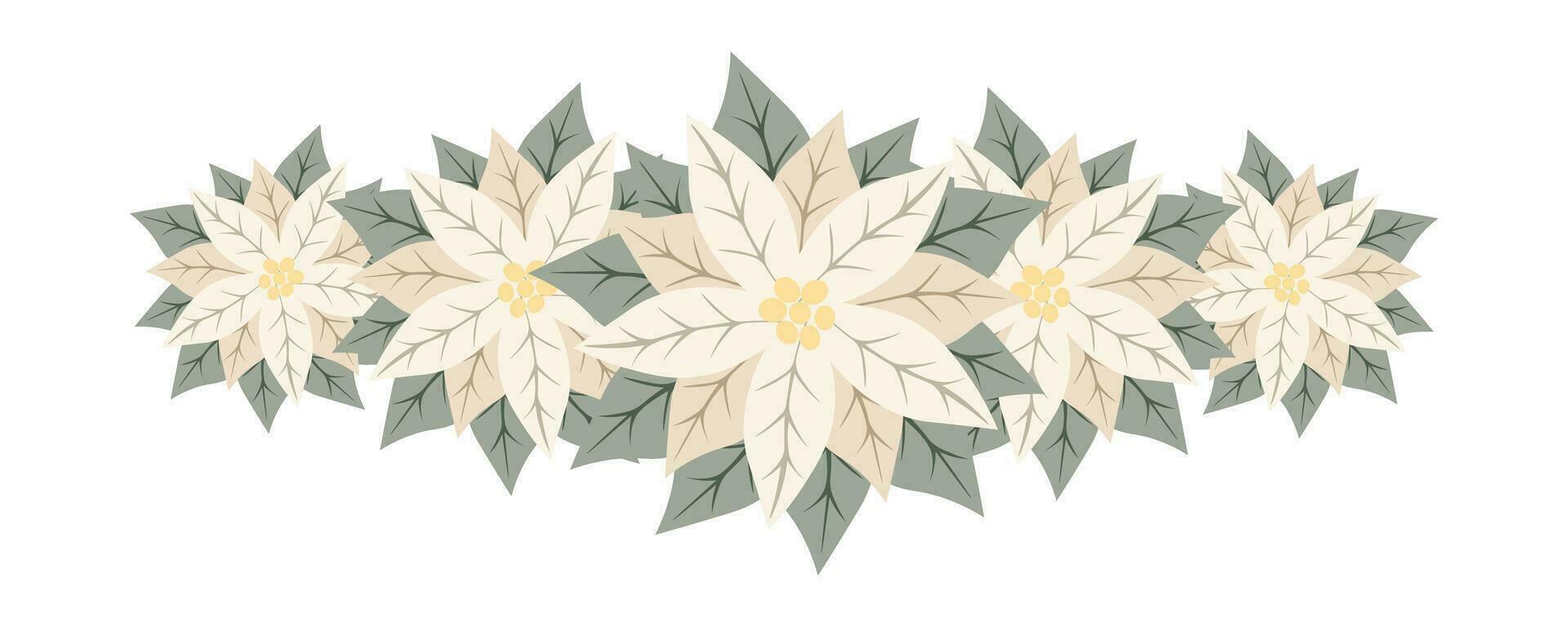 Decorative branch of white poinsettia flowers. Isolated floral New Year and Christmas decor for greeting card, invitation, holiday design vector