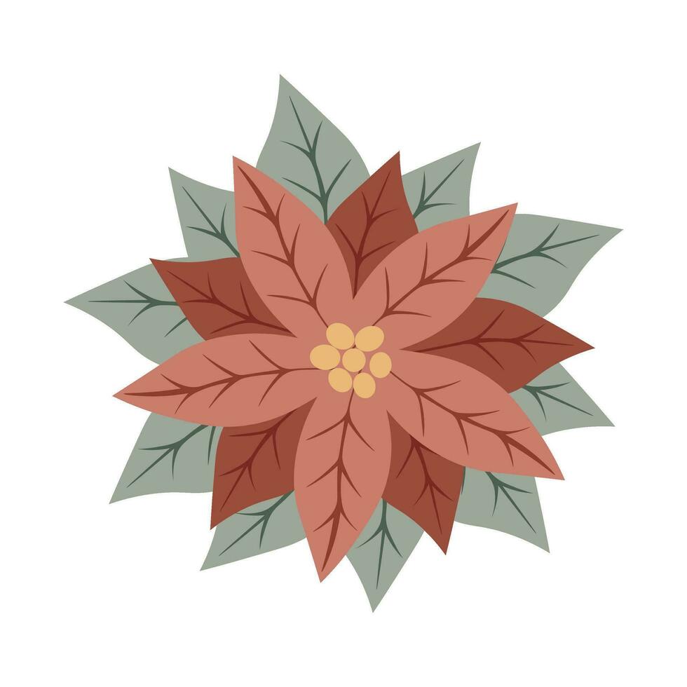 Christmas star red flower poinsettia. Symbol of the winter holidays. Perfect for Christmas or New Year greeting card design vector