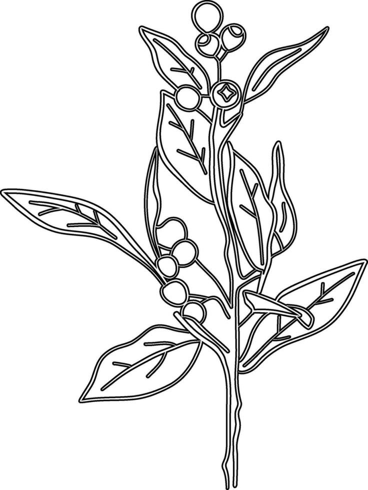 Branch with lichens and berries drawing line decoration design. vector