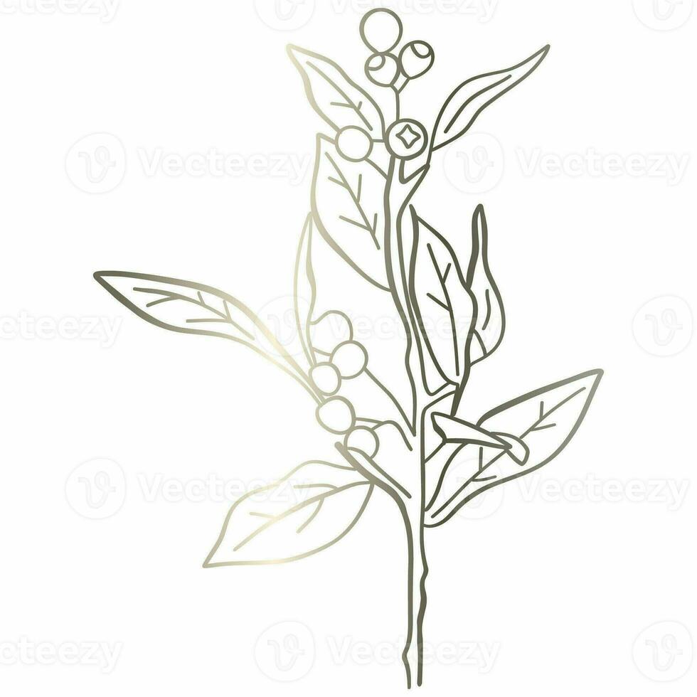 Branches with leaves and berries drawing gradient decoration design. photo