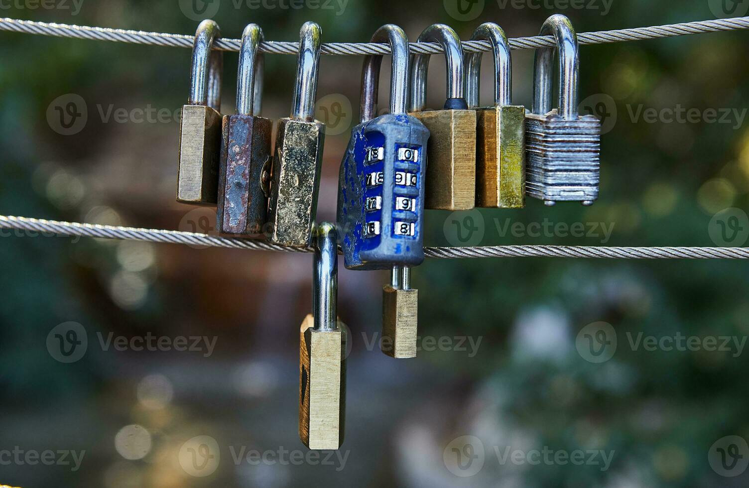 Padlocks symbolize unity and love forever. Locks hanging on fence ropes in the park photo