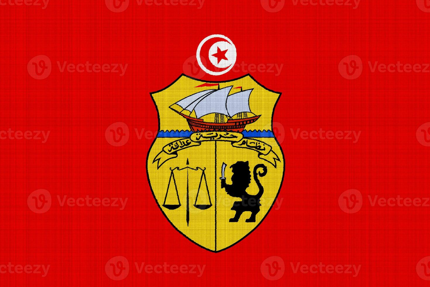 Flag and coat of arms of Tunisian Republic on a textured background. Concept collage. photo