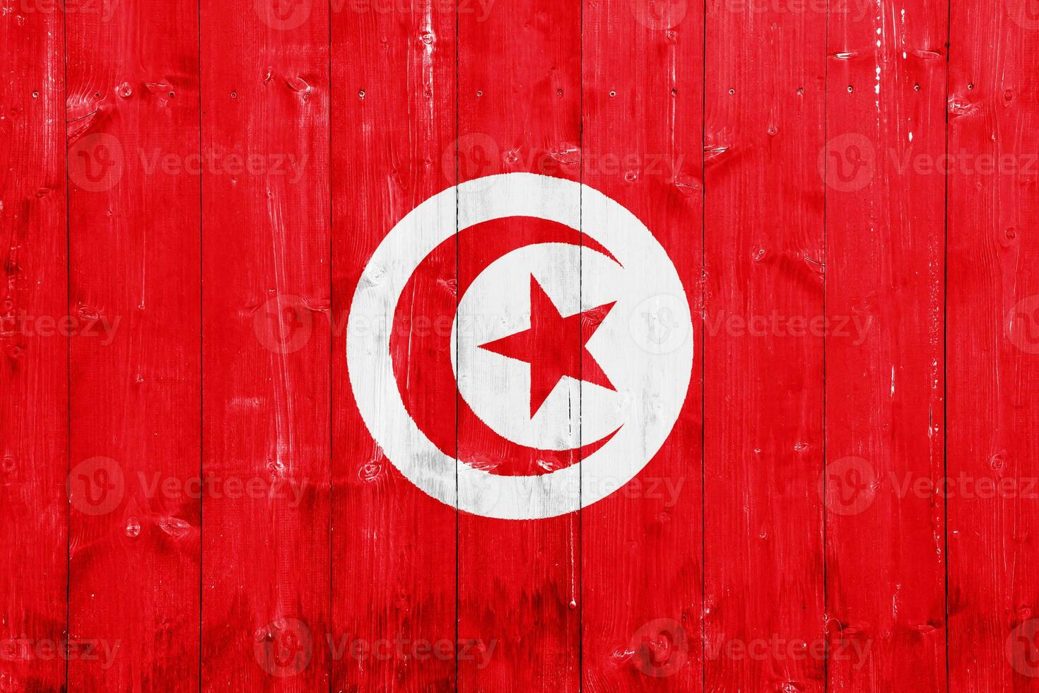 Flag of Tunisian Republic on a textured background. Concept collage. photo