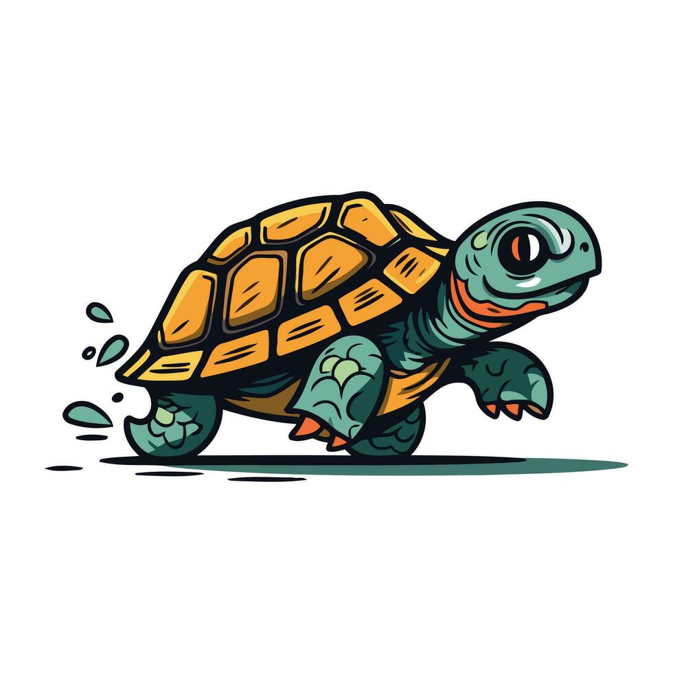 Tortoise vector illustration isolated on white background. Cute cartoon turtle.