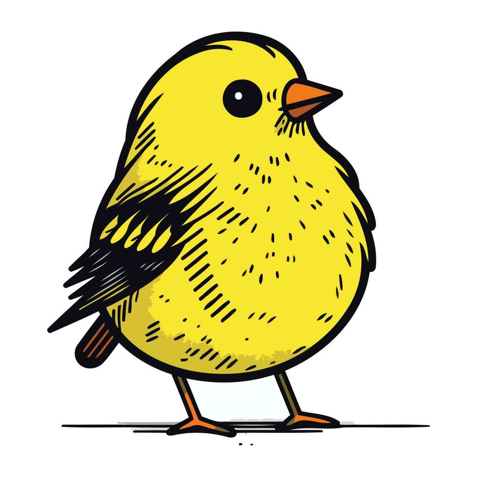 Illustration of a cute little yellow bird on a white background. vector