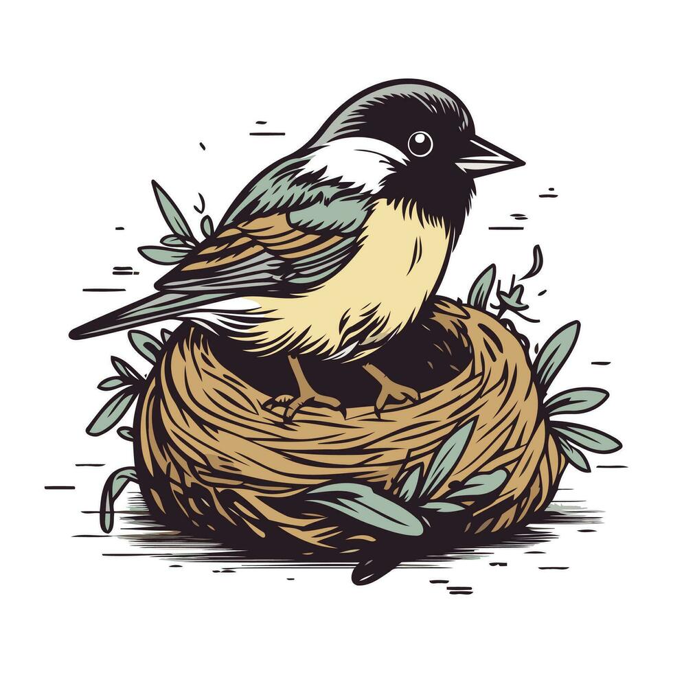 Illustration of a bird in a nest. Hand drawn vector illustration.