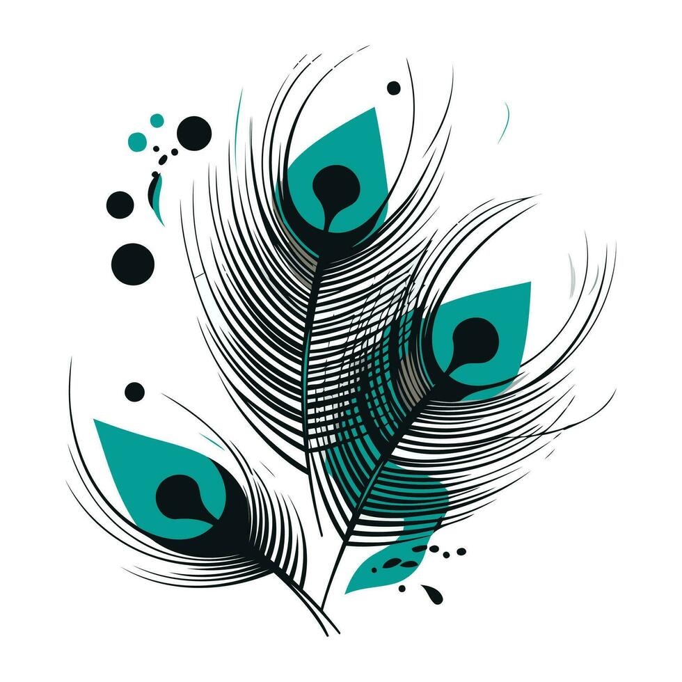Feathers. Vector illustration on a white background. Isolated.