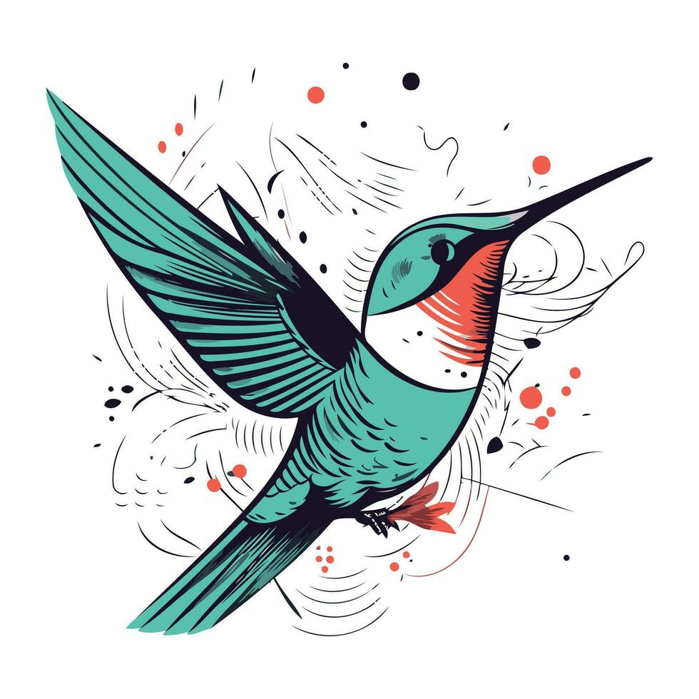 Hummingbird on a white background. Hand drawn vector illustration.