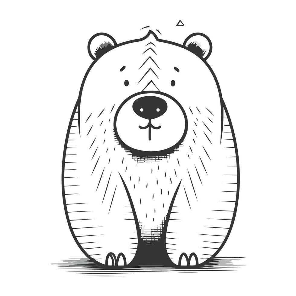 Vector image of a bear on a white background. Vector illustration.