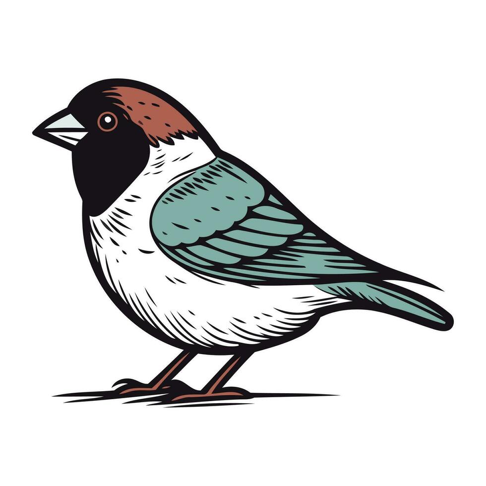 Sparrow. Hand drawn vector illustration isolated on white background.