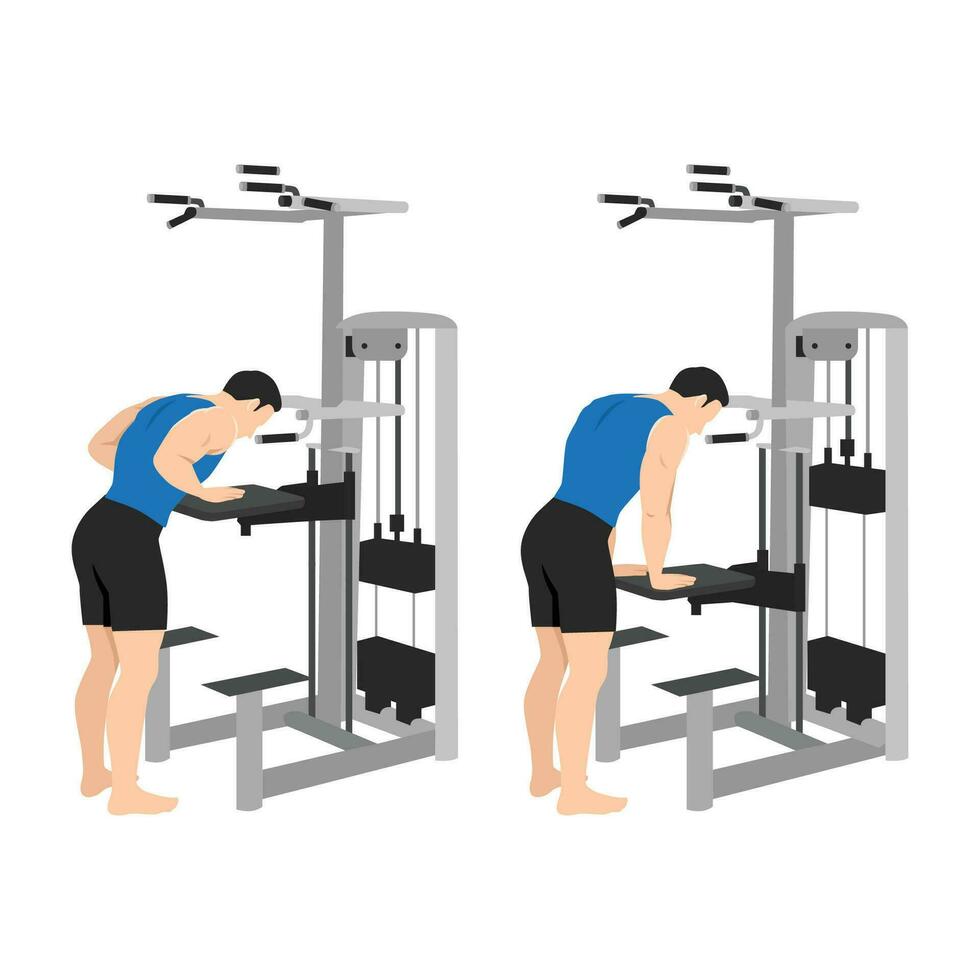 hombre haciendo gravitron tricep prensa ejercicio. vector