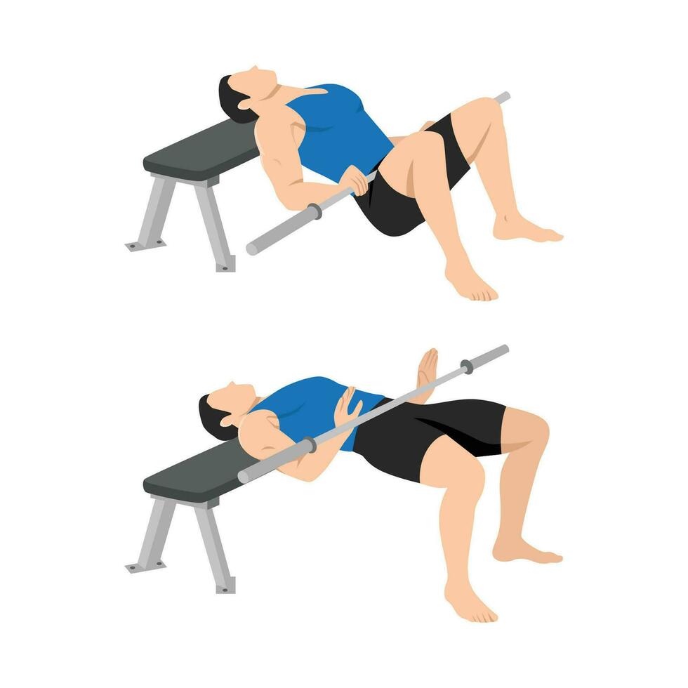 Man doing bench glute bridge with bar exercise. vector