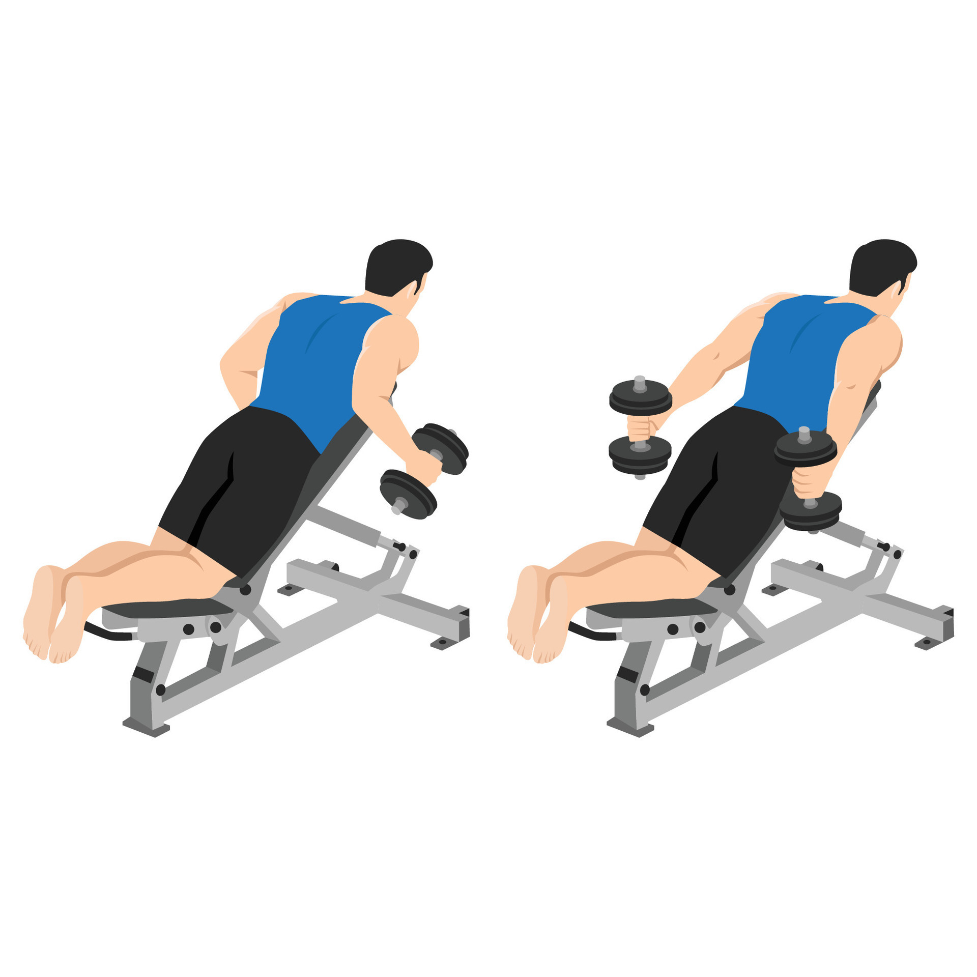 Man doing dumbbell prone incline kickbacks exercise. 33508023 Vector