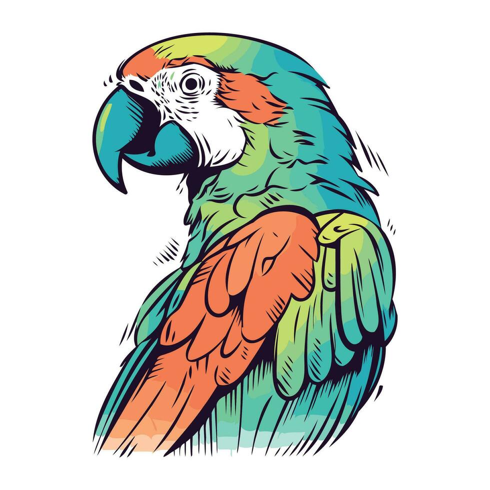 Colorful parrot isolated on white background. Hand drawn vector illustration.