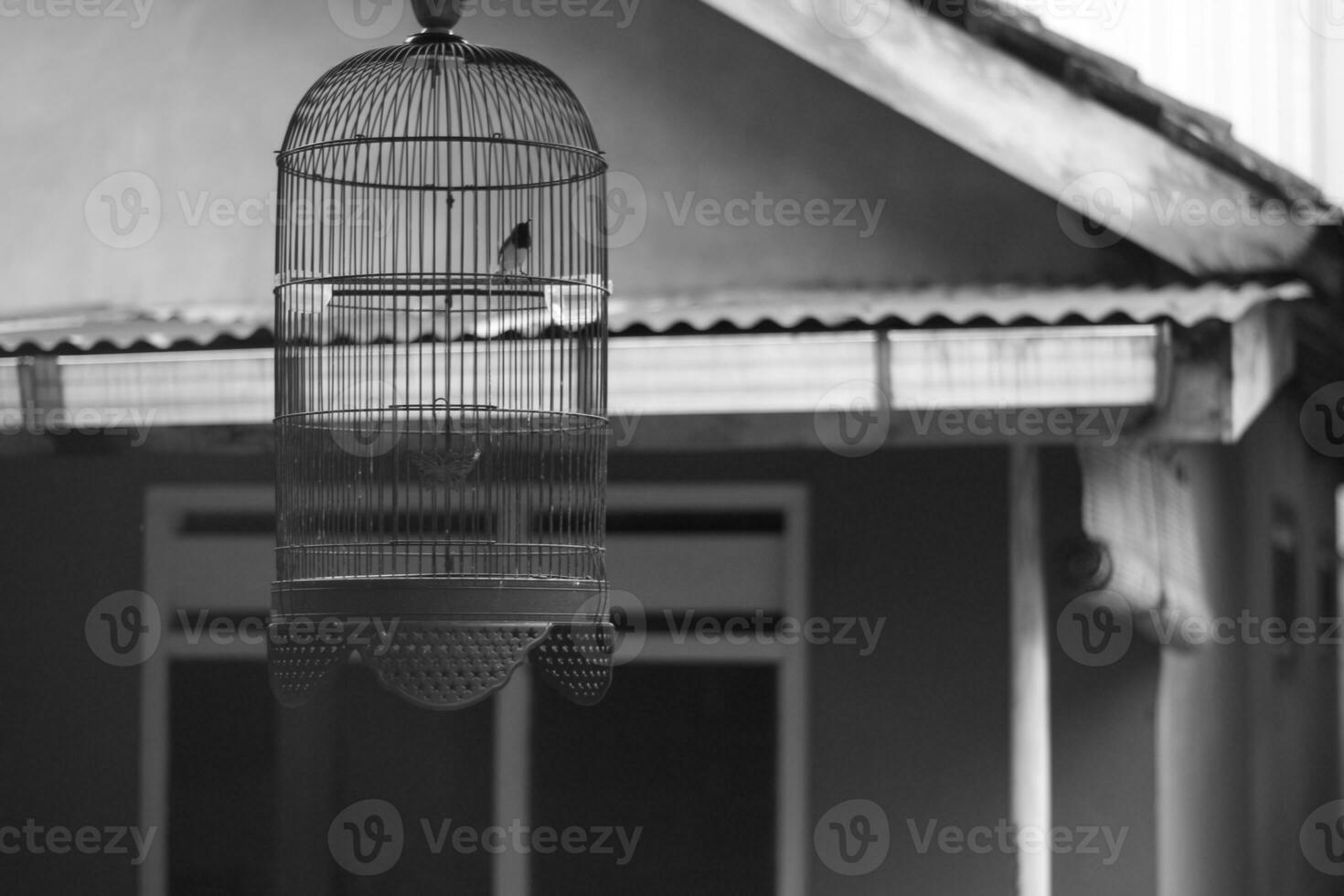 Black and white photo of a bird cage made of iron.