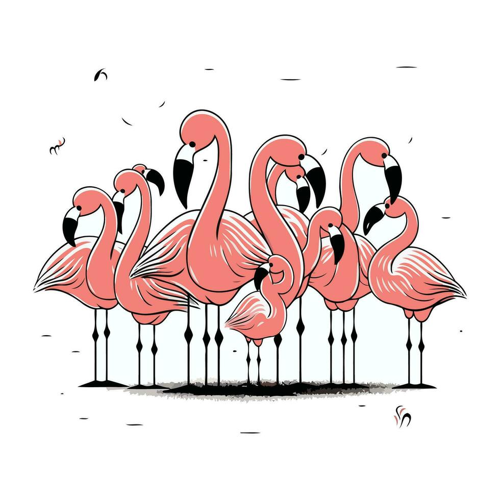 Flamingo. Hand drawn vector illustration. Isolated on white background.