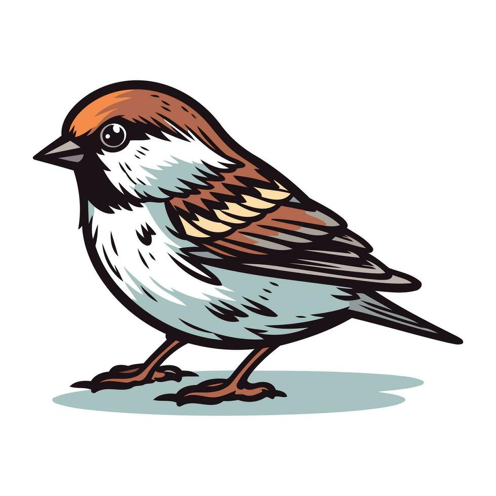 Sparrow bird. Vector illustration of a sparrow bird.