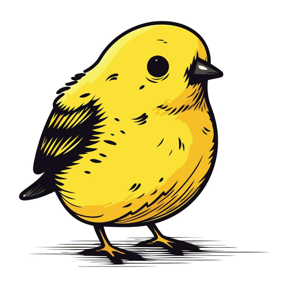 Vector illustration of a cute little yellow bird on a white background.