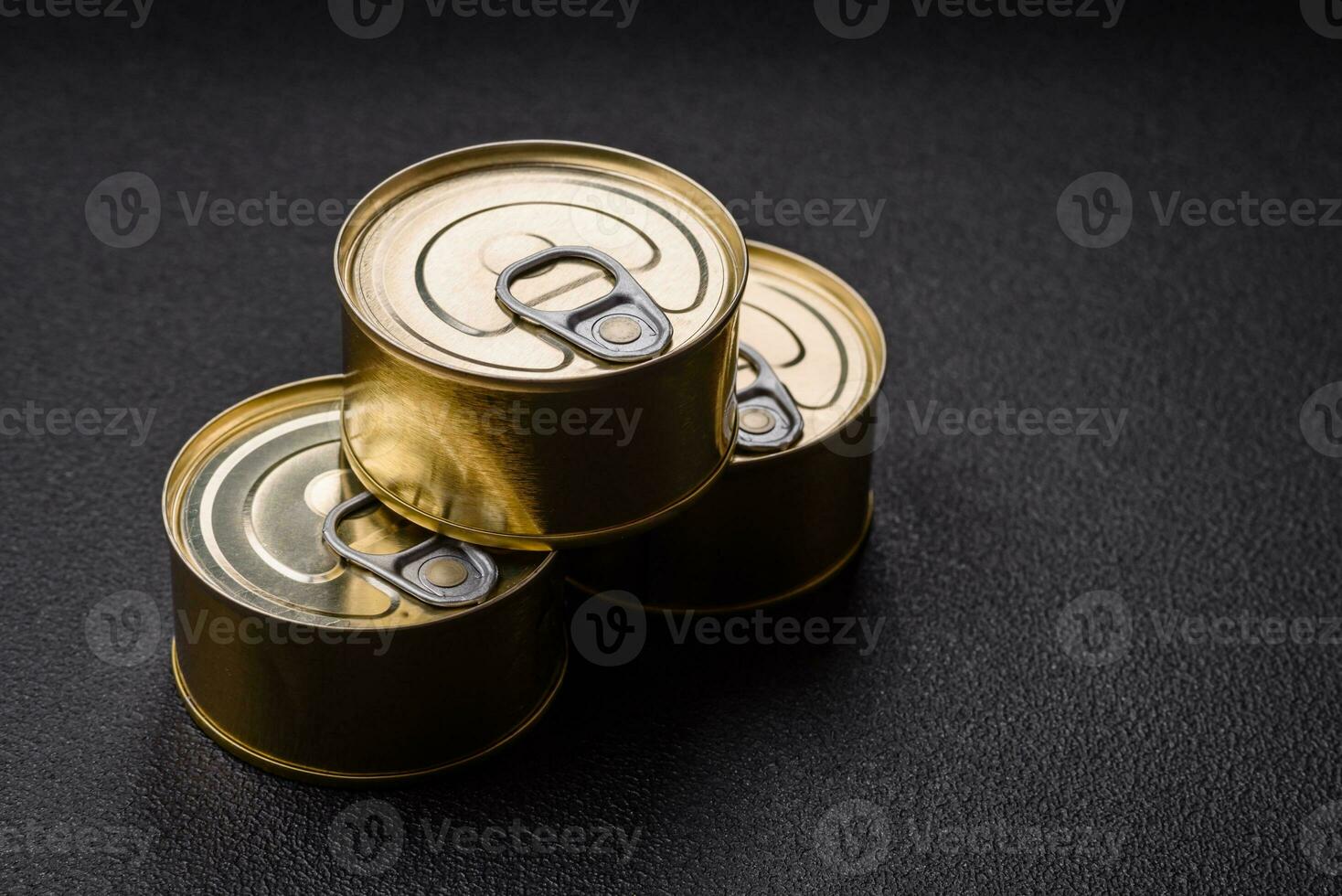 Round metal can with canned fish or meat with a key photo