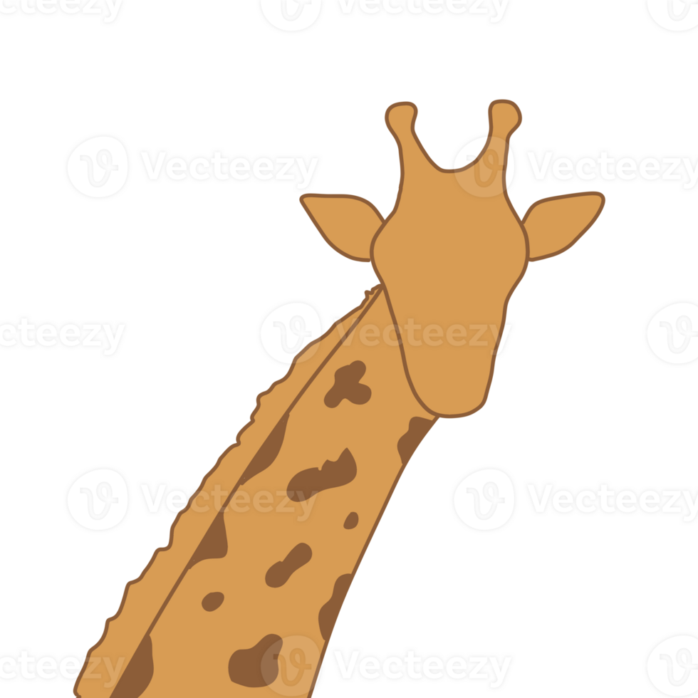 giraffe taking photo pose png
