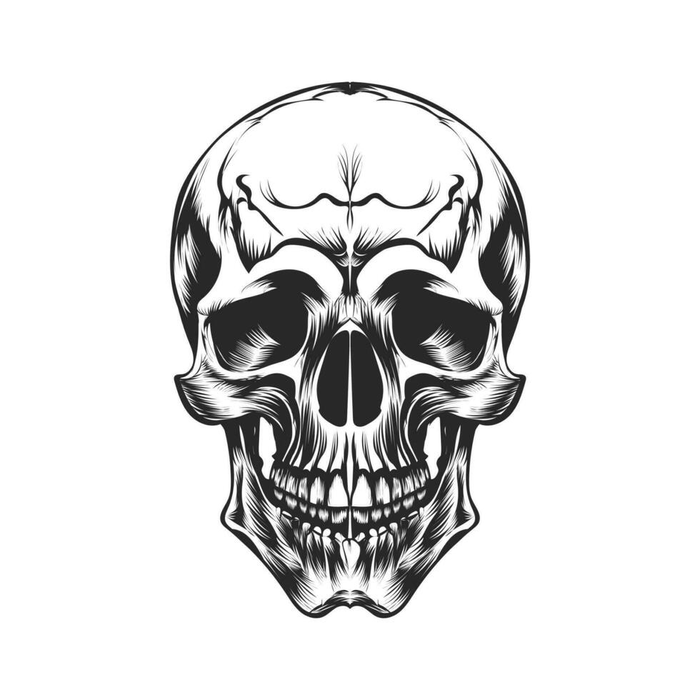 skull on black vector design