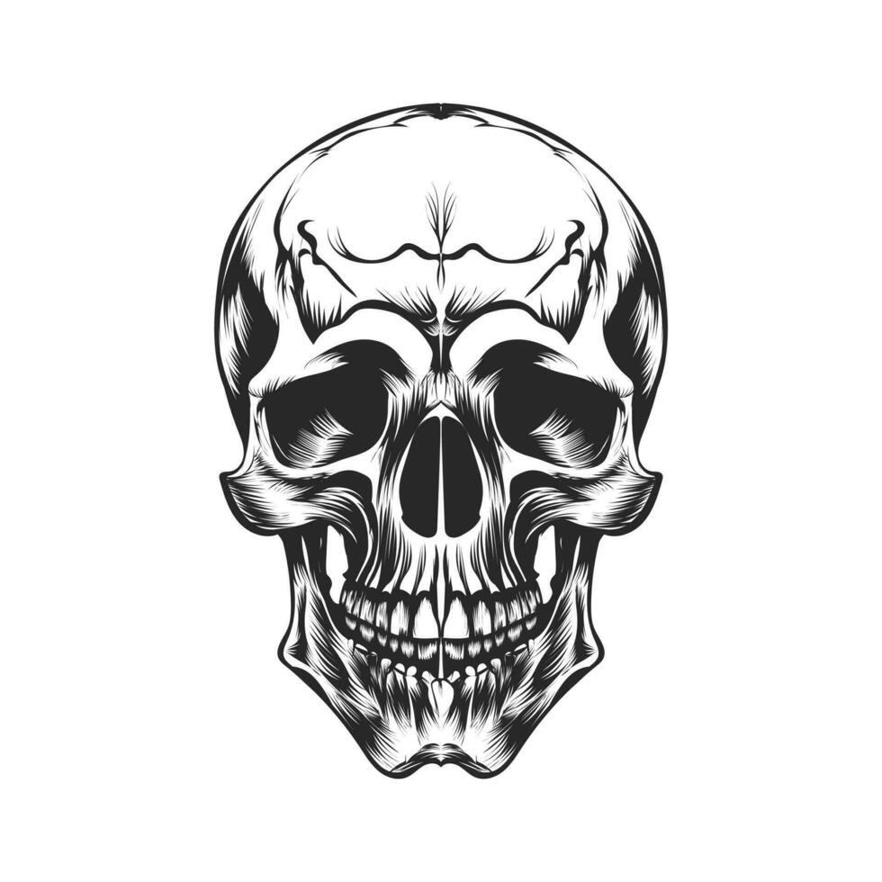 skull on black vector design