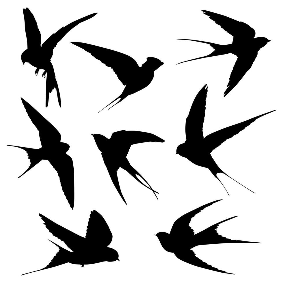 Collection of swallow bird silhouettes isolated on white background vector