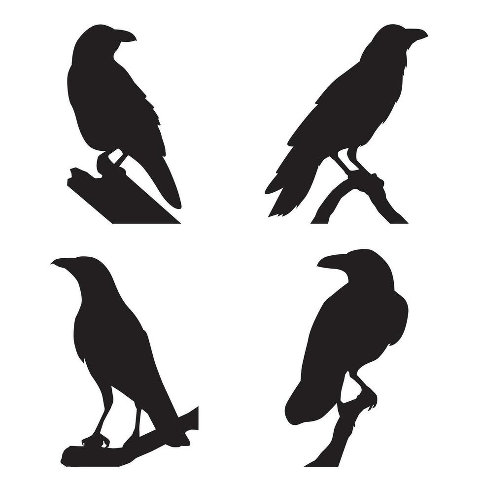 Collection of silhouettes crows perched on tree branches vector