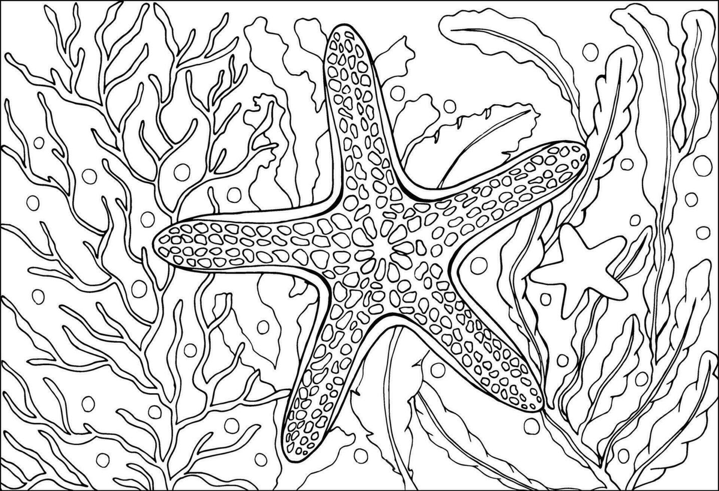 A starfish with little star. Coloring page, hand drawn for relaxation and stress relief. Coloring book for adults and child with doodles, zentangle design elements. vector