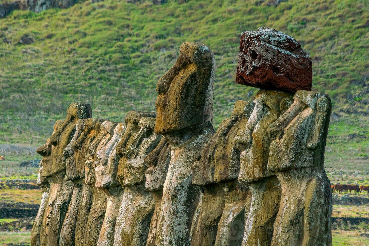 The ancient moai on Easter Island of Chile photo