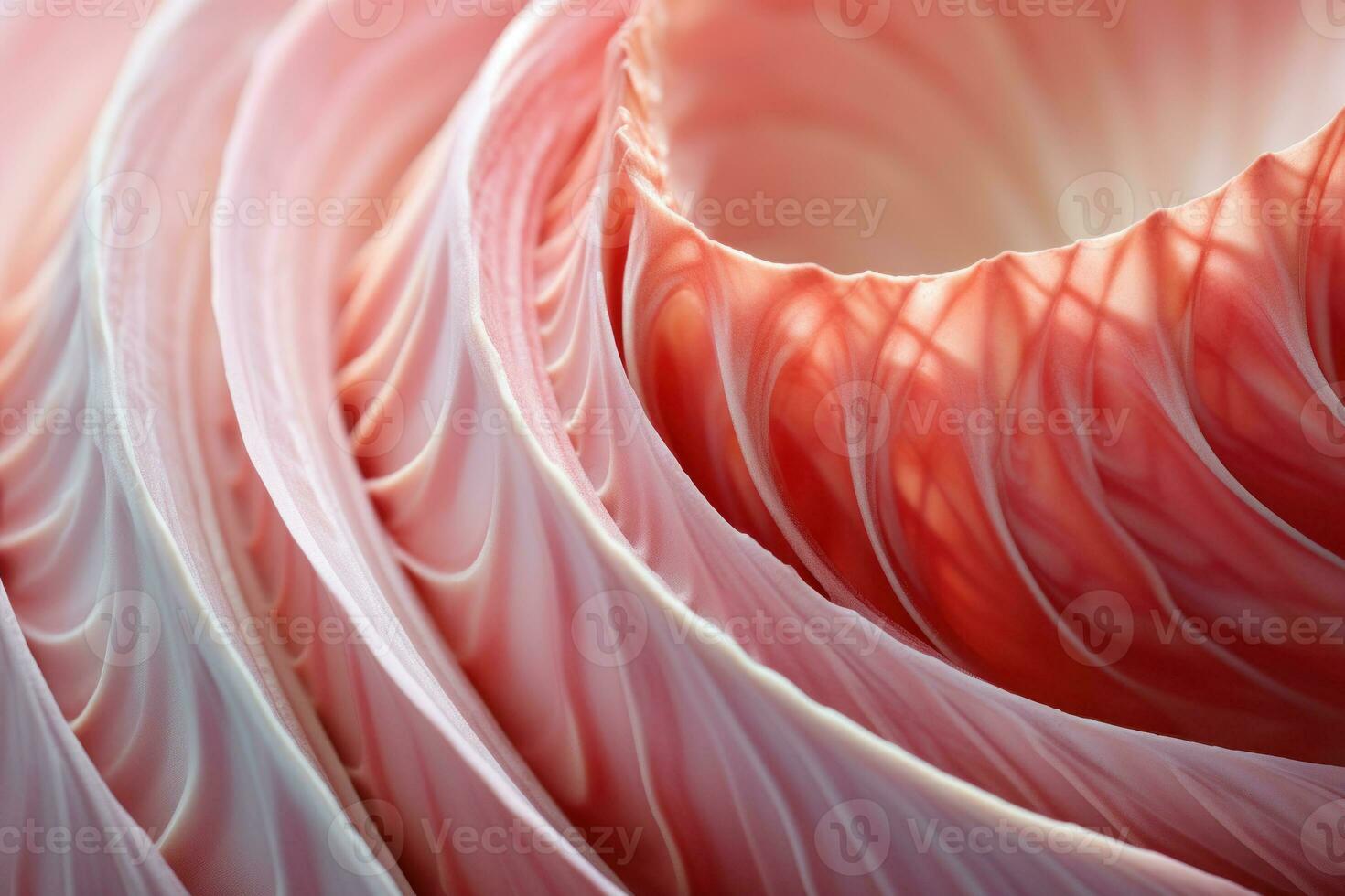 Extreme closeup texture of pink conus shell, abstract background of macro of sea life. AI Generation photo