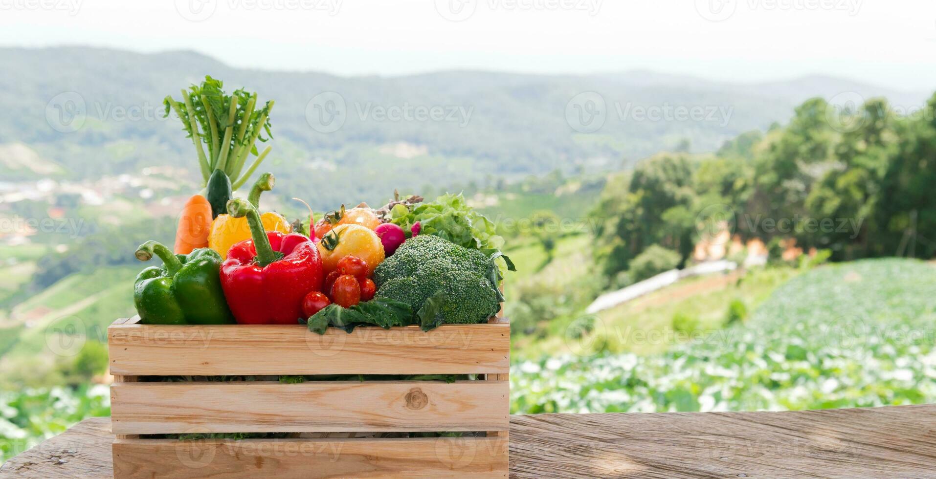 Wooden crate filled with fresh organic vegetables photo