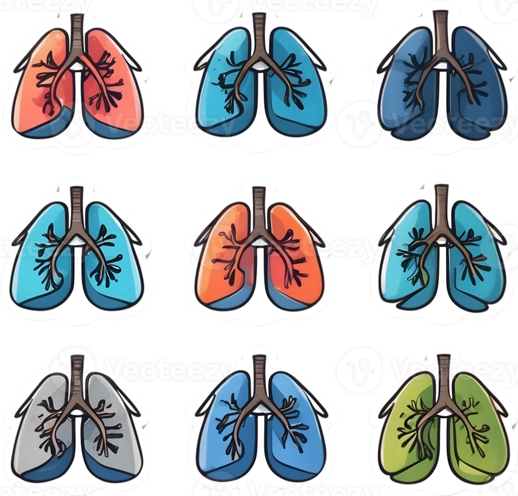 lungs and lungs set of stickers ai generative png