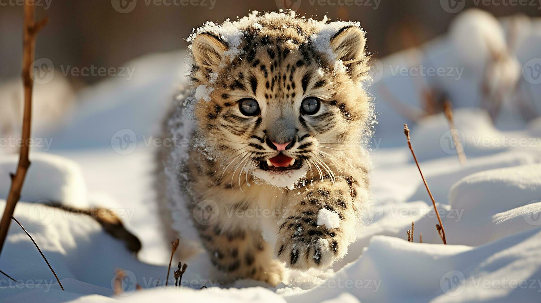 bebé nieve leopardo, ai generado foto