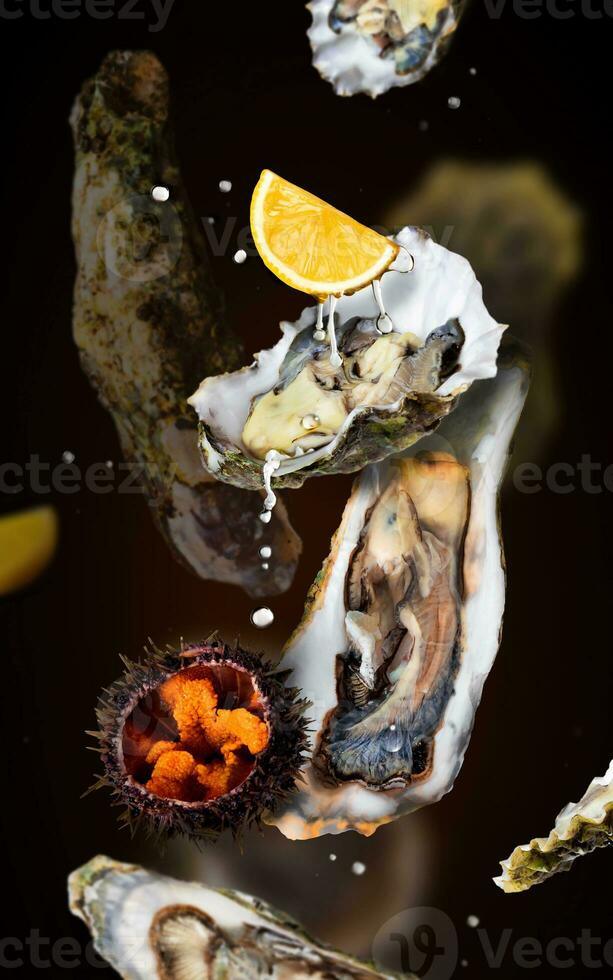 Fresco crudo ostras y mar pilluelo en el aire. concepto de levitación. negro antecedentes. Mariscos manjares y salpicaduras de agua foto