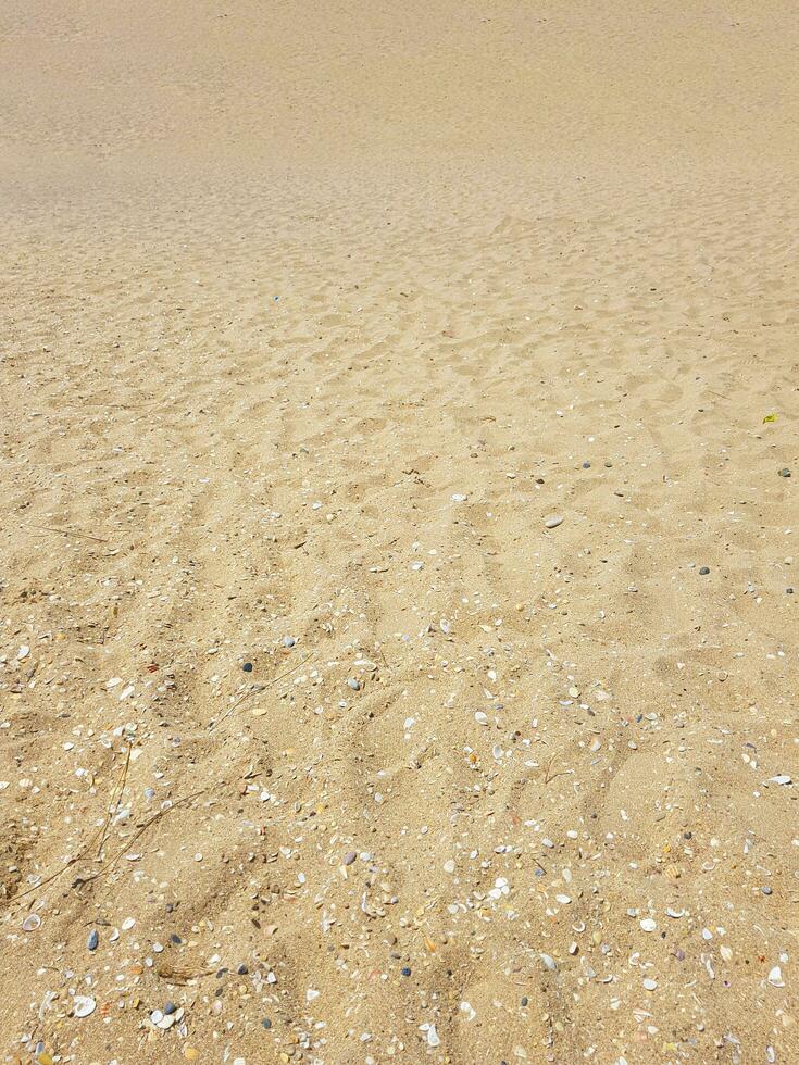 Empty golden sands in summer photo