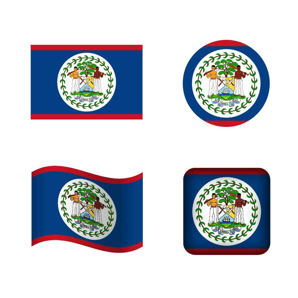 Vector Belize National Flag Icons Set