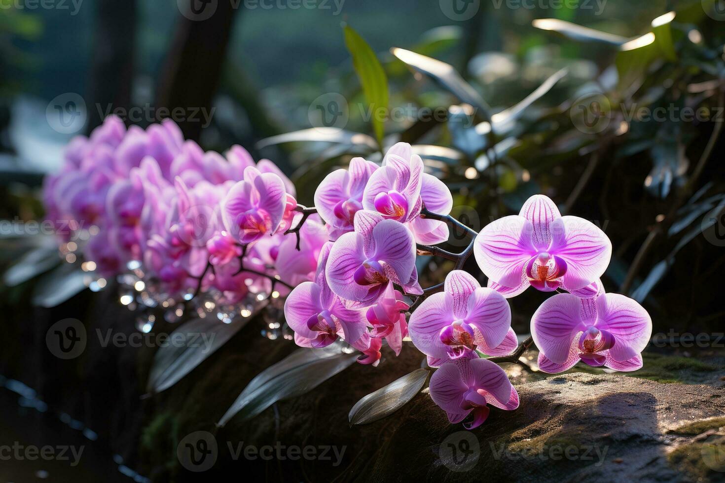 orchids in forest nature landscape AI Generated photo