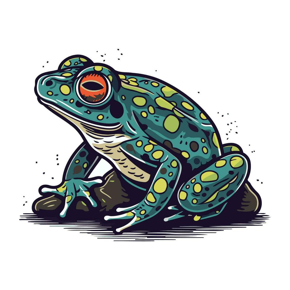 Frog. Hand drawn vector illustration. Isolated on white background.