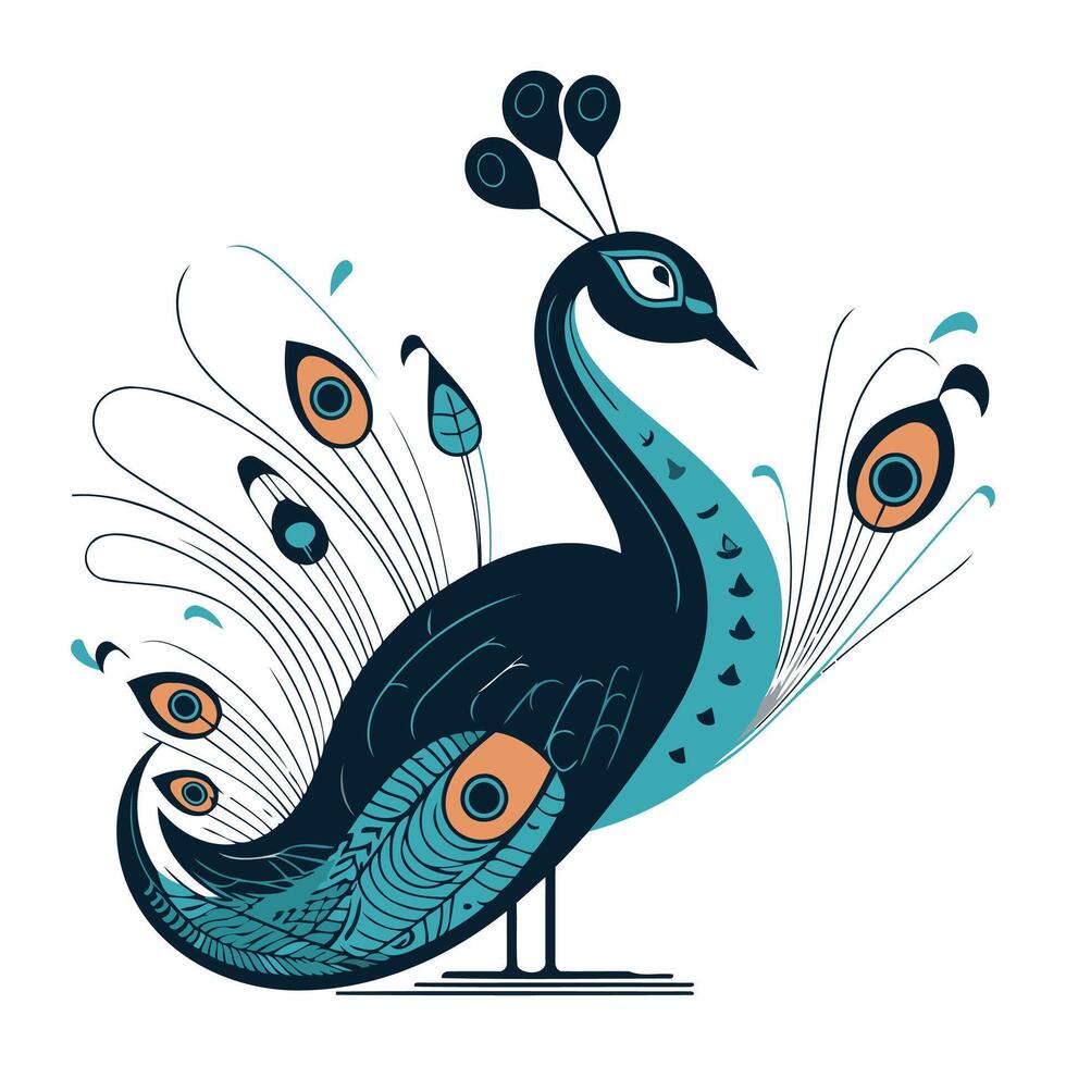 Peacock with feathers. Vector illustration of a peacock.