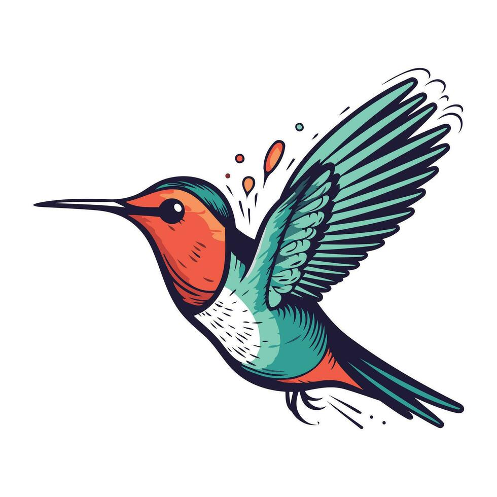 colibrí con volador alas. vector ilustración en blanco antecedentes.