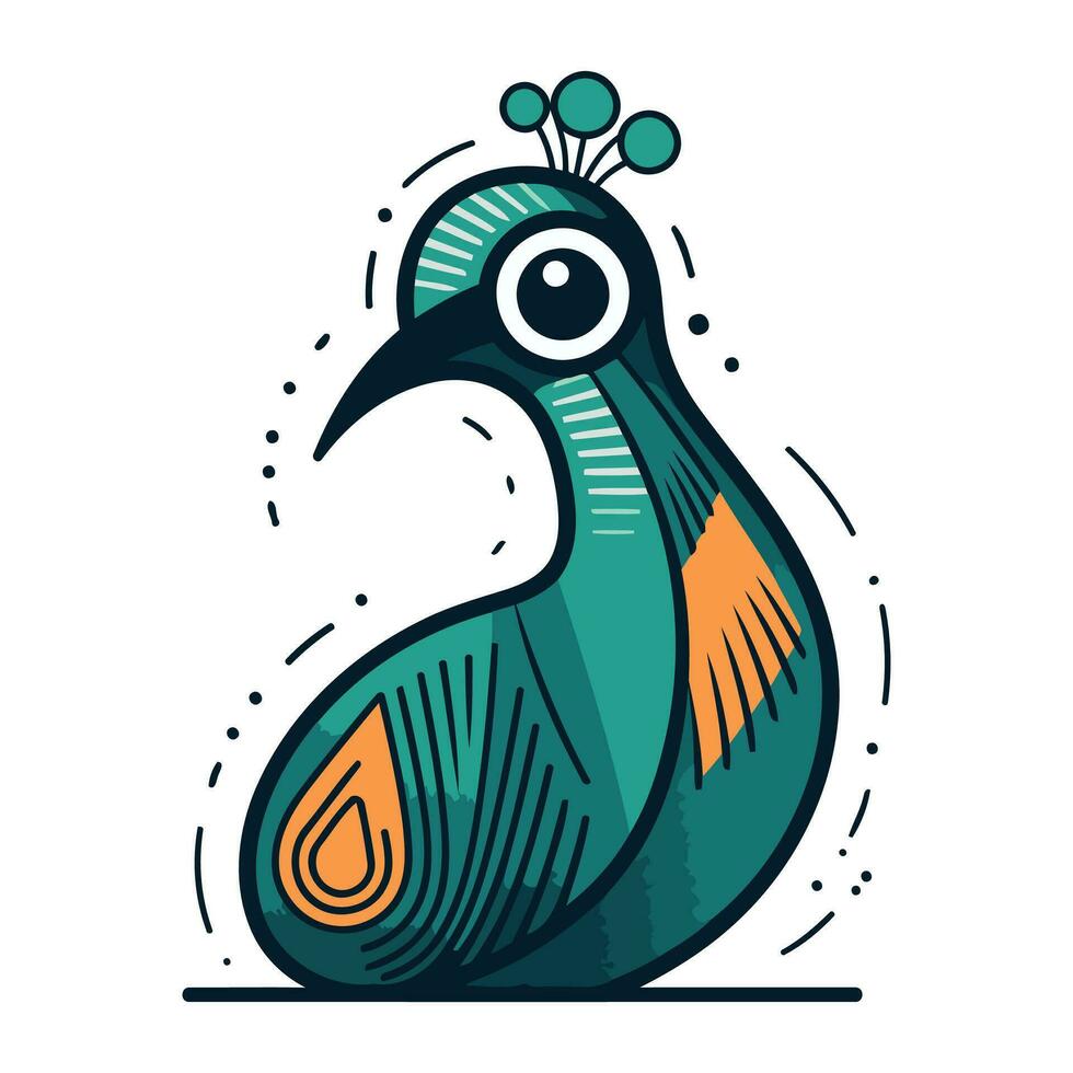 Peacock vector illustration. Isolated peacock on white background.