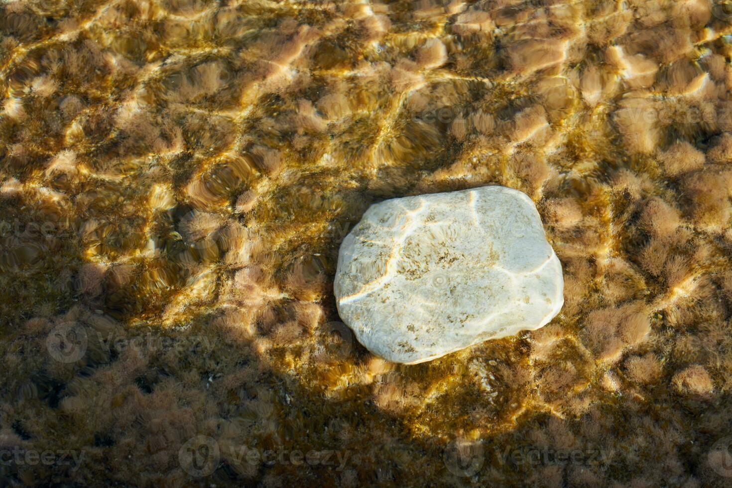 White stone in water as a natural background. photo