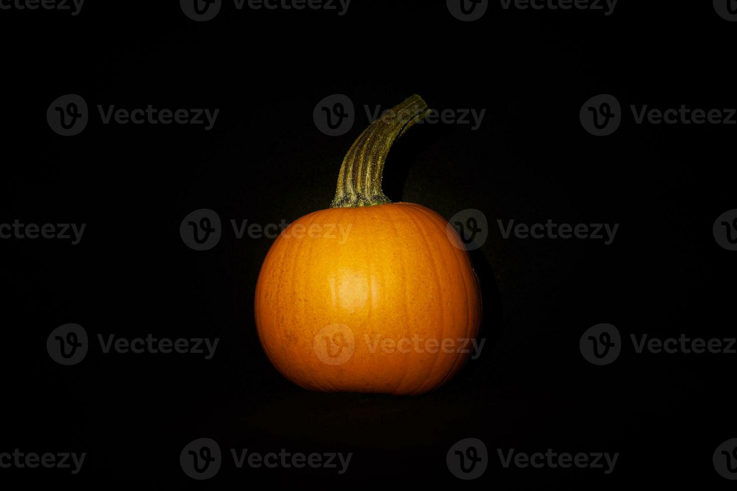 Pumpkin in darkness. Halloween mood. photo