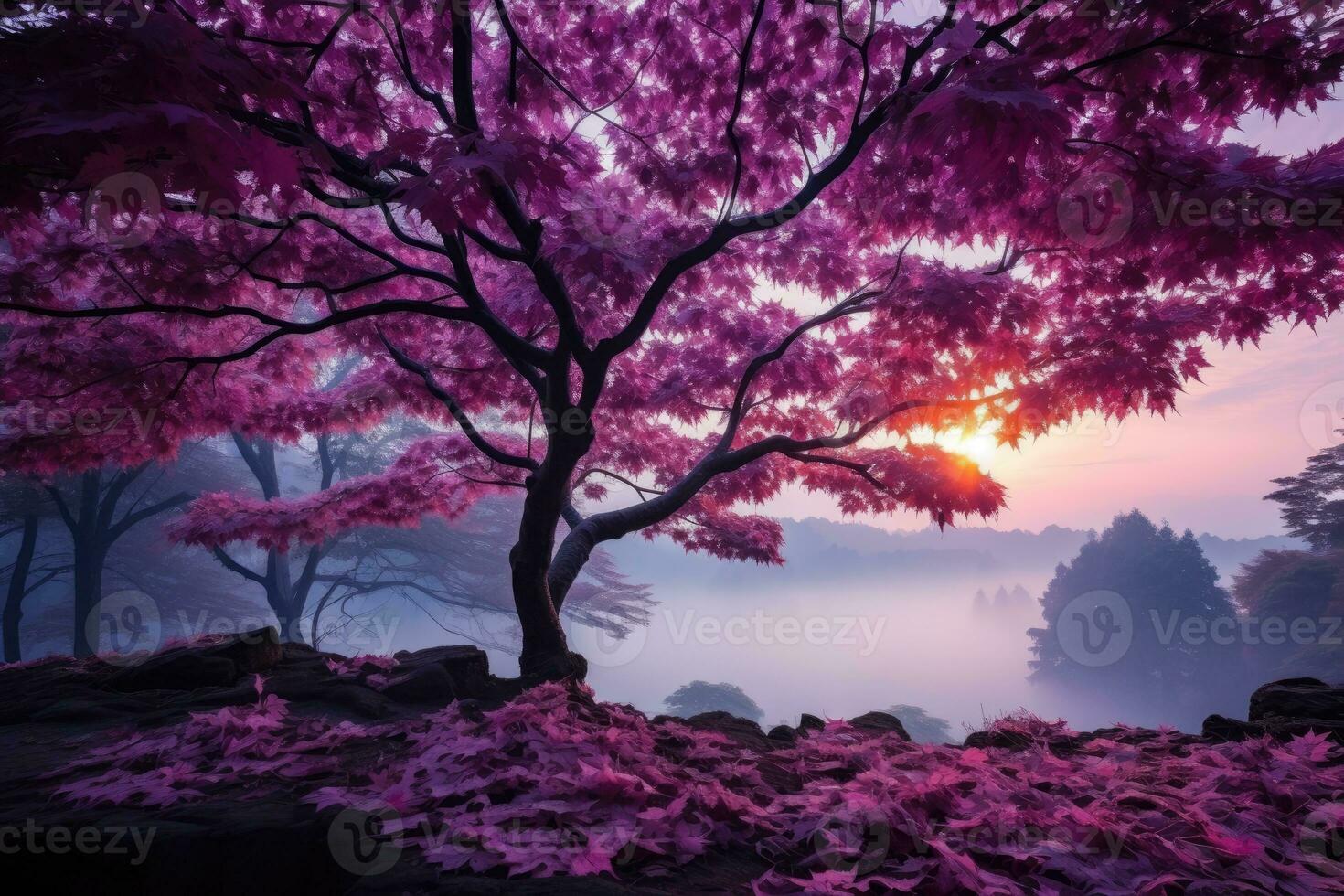 early morning forest of maple trees AI Generated photo