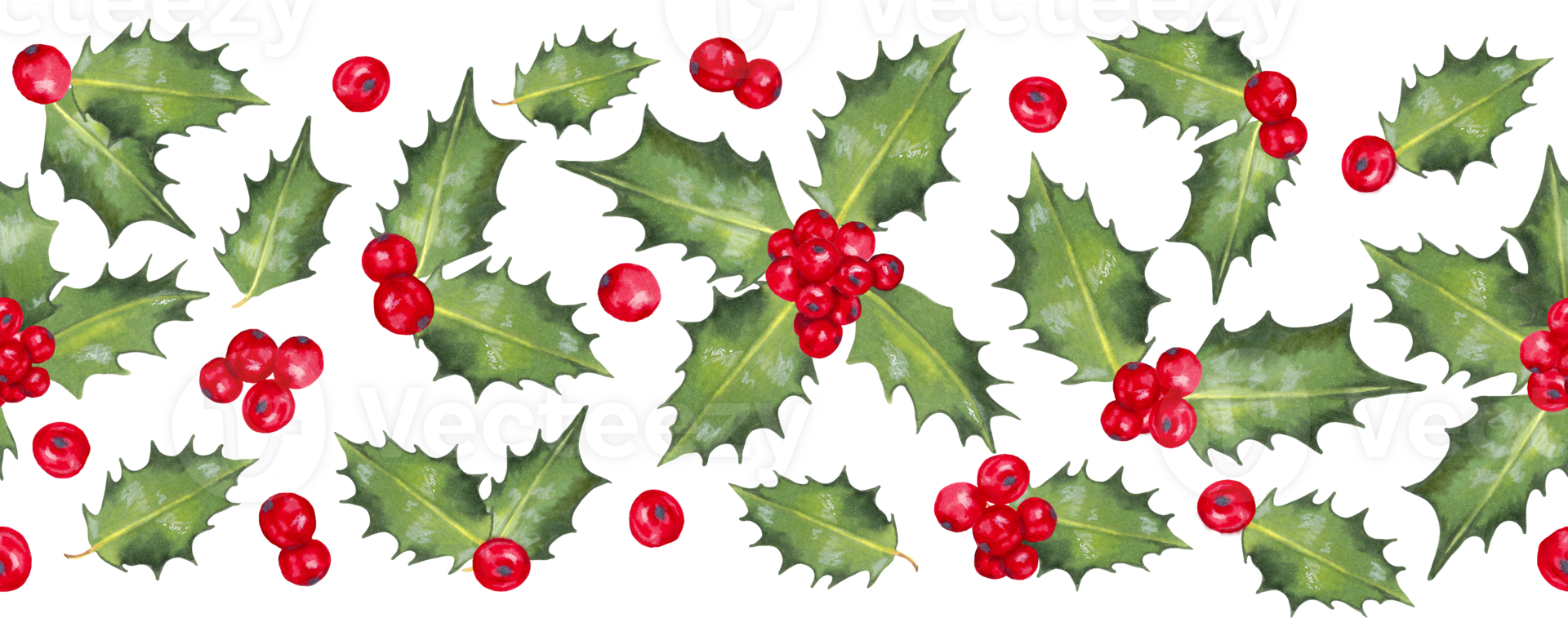 Christmas seamless horizontal border, frame of winter holly flowers, sorbus branches. Decor for the New Year, Christmas and seasonal holidays. Merry Christmas holiday design.Handmade isolated art. png